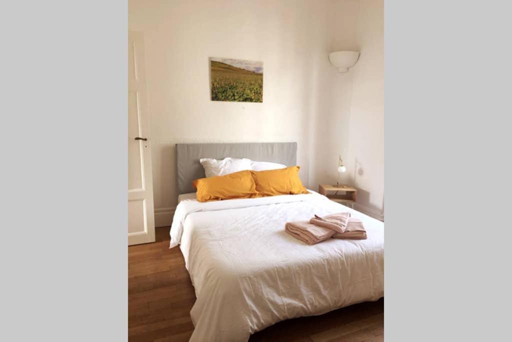 Appartement Cosy Idealement Situe Au Centre Ville Dijon Exteriör bild